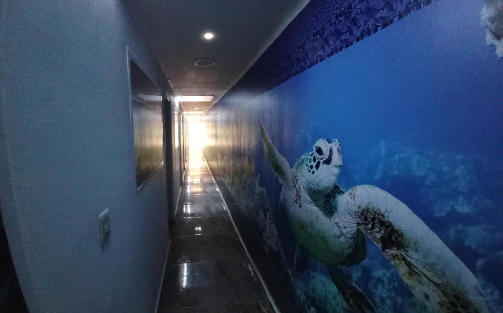 Hotel Dmauro Cartagène Extérieur photo